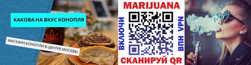 где можно купить Каменногорск гидра tor Canna-Cookies конопля