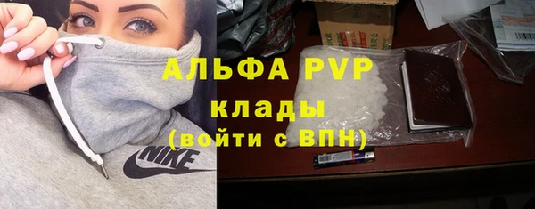 стаф Абинск