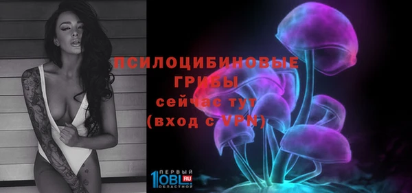 кокс Абаза