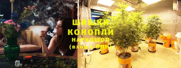 стаф Абинск