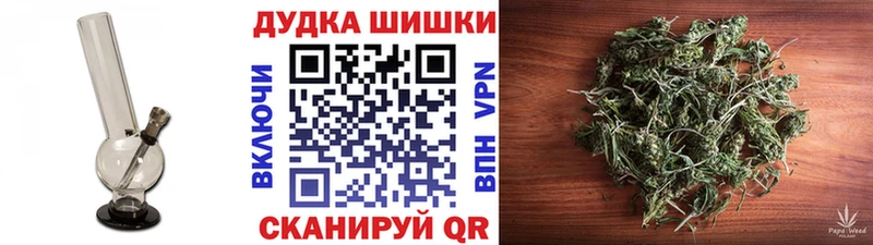 Бошки Шишки планчик Каменногорск